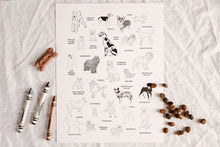 Load image into Gallery viewer, April 2021 Pages